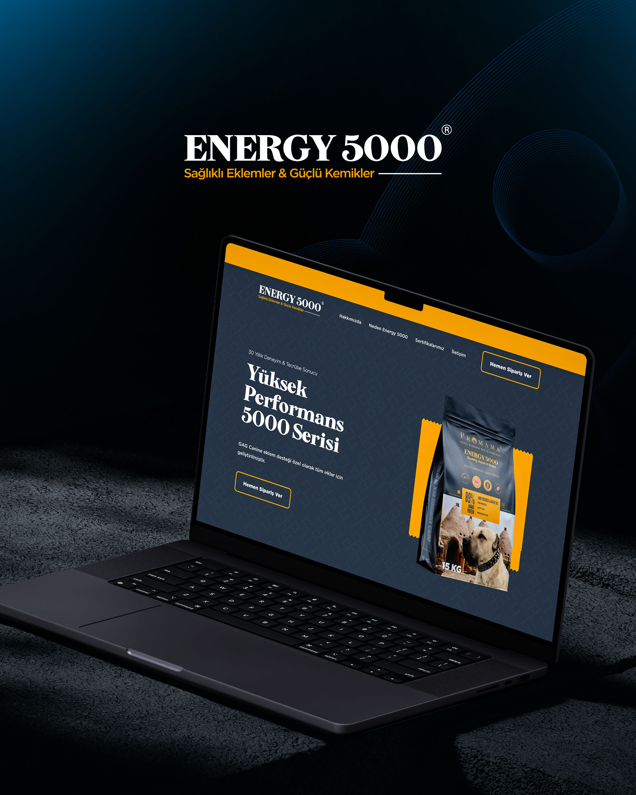 Energy5000